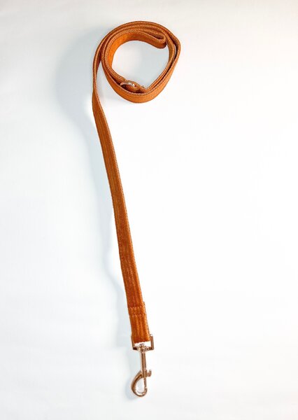 Harness Walk Set for dogs ( Rare Mocha)