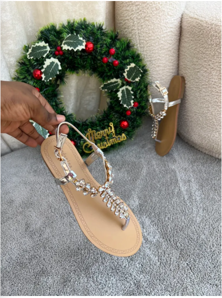 Andarina Silver Thong Sandals