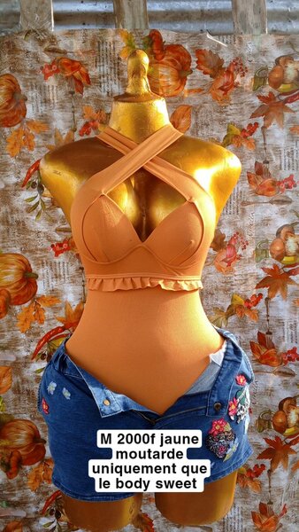 Body féminin élégant