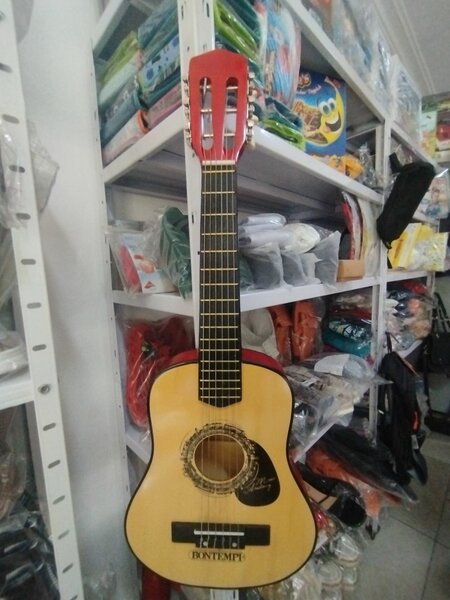 GUITARE DE MARQUE BONTEMPPI
