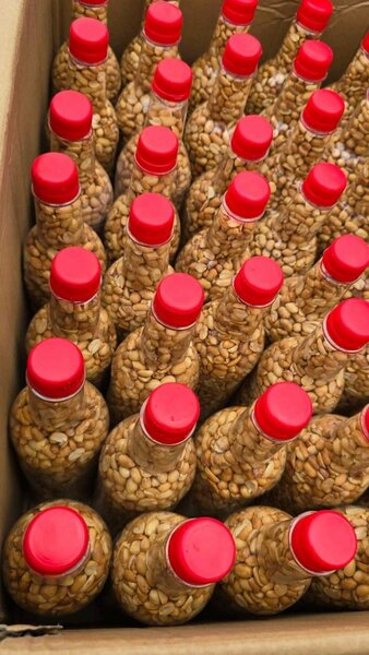 Huile de graines de courge