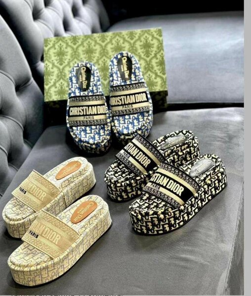 Chaussures Christian Dior