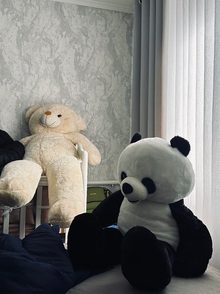 Мишки в хорошем состоянии