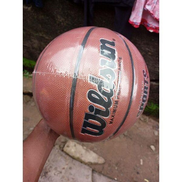 Ballon de basket Wildsun
