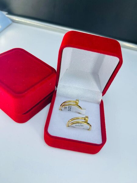 Elegant Gold Hoop Earrings