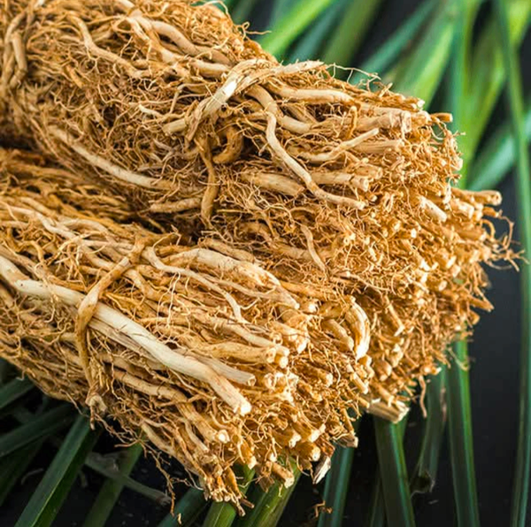 10 tiges de vétiver a 750f