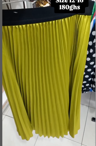 Pleated Skirt
