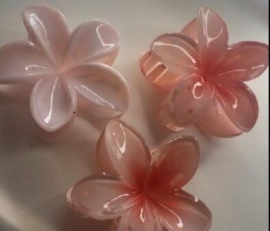 Pinces à cheveux fleurs roses