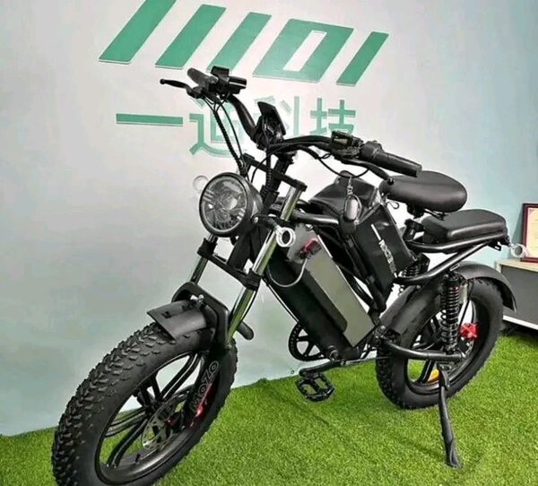 Vélo électrique tout-terrain puissant