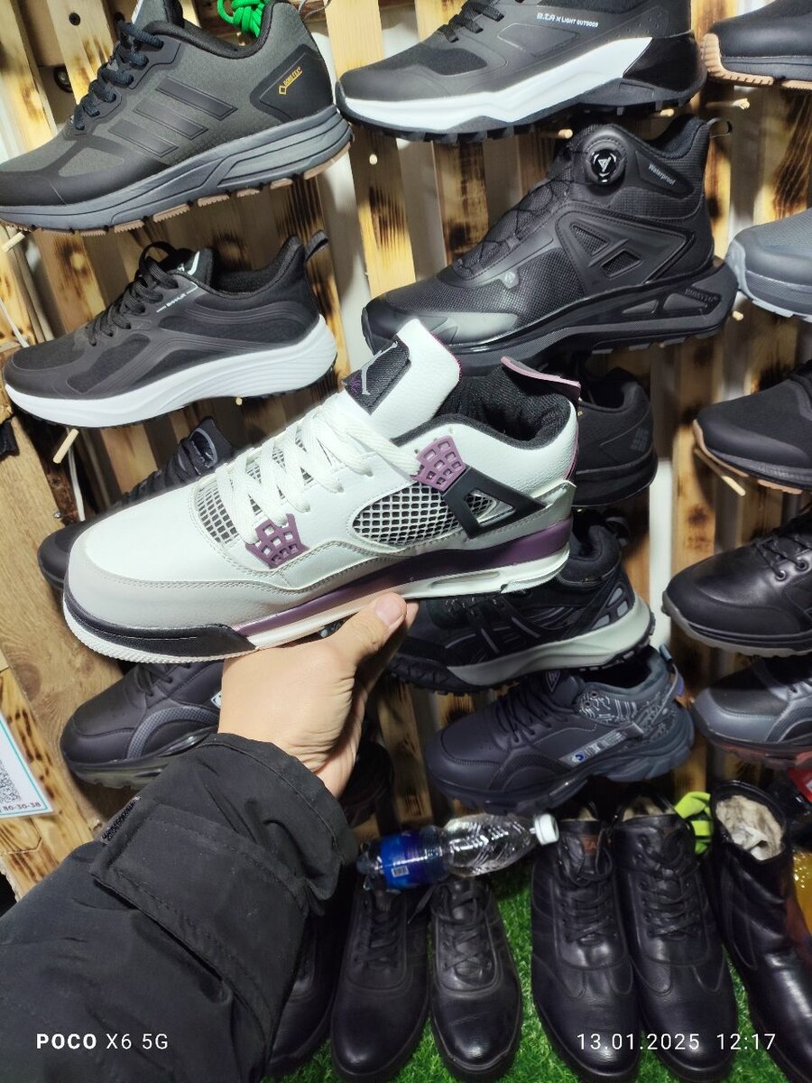 Jordan 04 Paris purple!