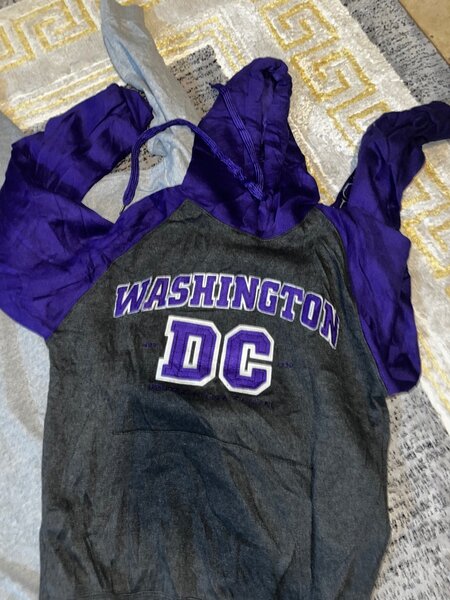 Washington DC hoodie