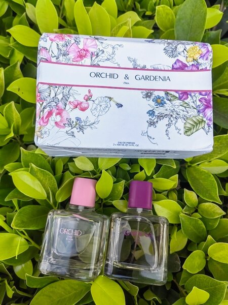 Zara Perfume