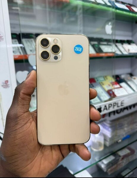 iPhone 13 Pro 256 Go