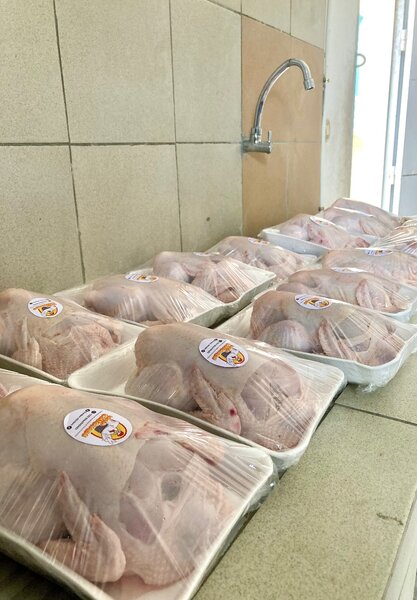 Poulet de chair fermier