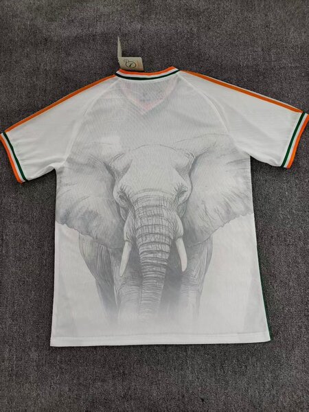 Maillot Éléphant Côte d'Ivoire