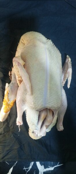 Canard entier Fermier Délice