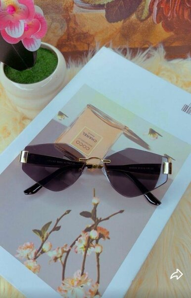 Lunettes de soleil élégantes