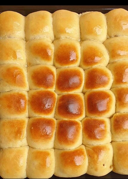 Lait caillé biologique