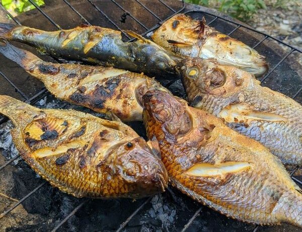 POISSON CARPE BRAISÉ