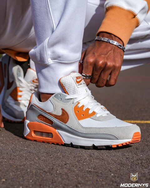 Baskets Nike Air Max élégantes