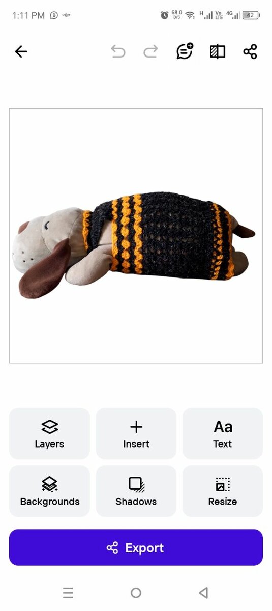 Winter dress for cats