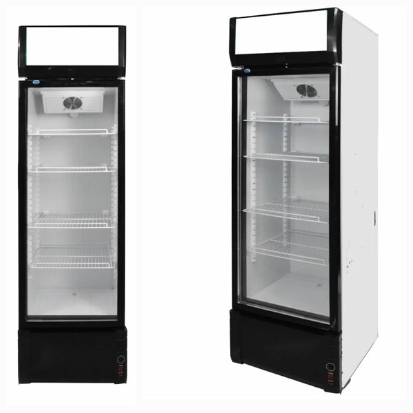 Réfrigérateur vitrine professionnel