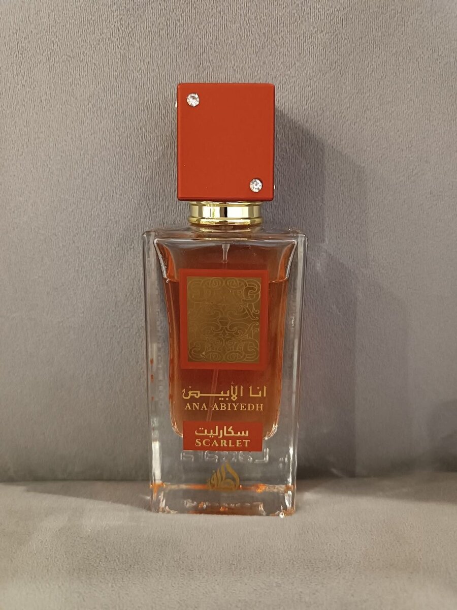 Parfum Mixte Ana Abiyedh