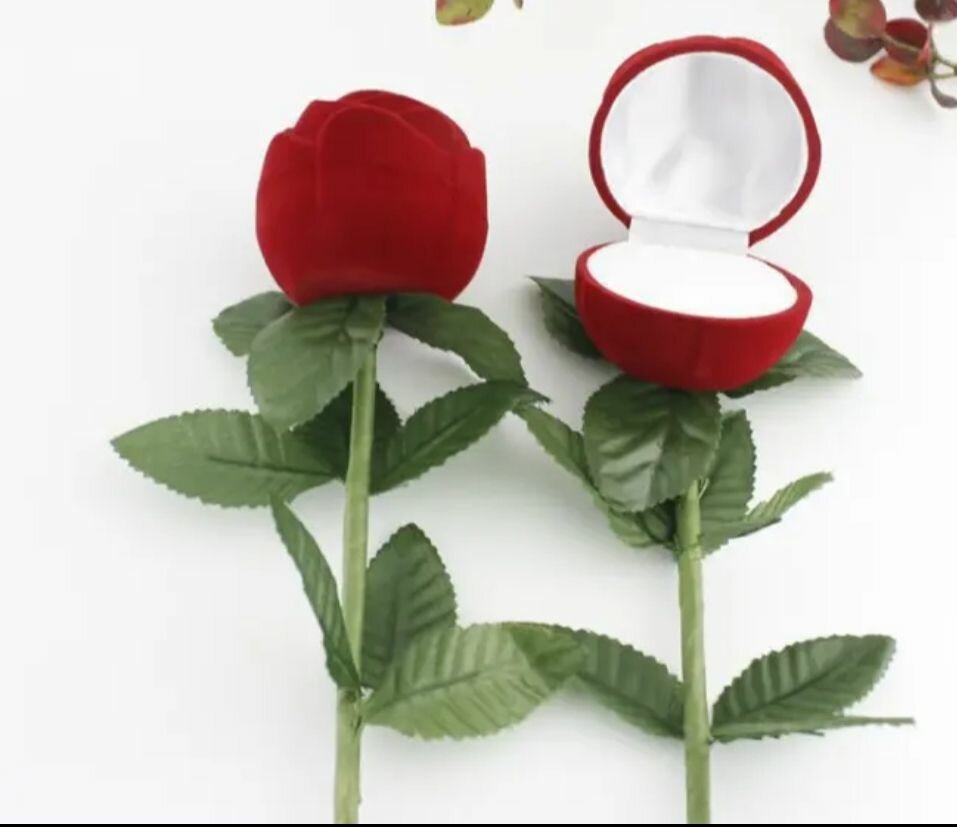 Bague de fiançailles ajustable