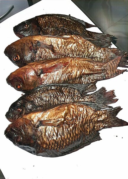 Fresh and Smoked Fishes
