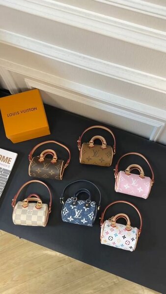 Louis Vuitton bag