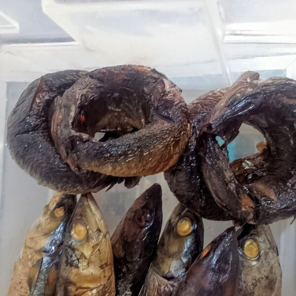 Freshly smoked sardine fish