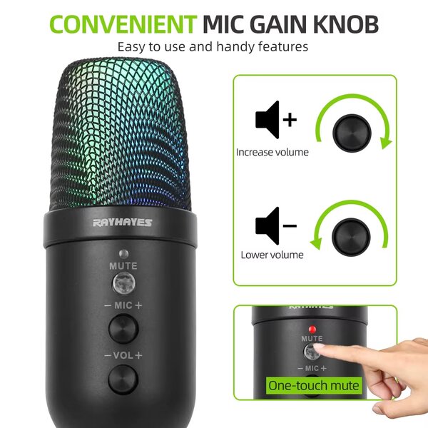 Microphone USB Rayhayes