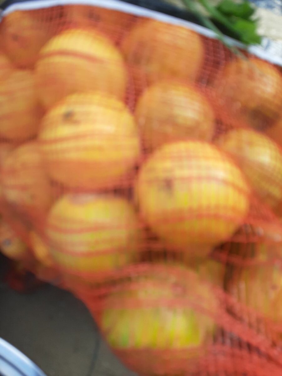 Escargots frais de mer