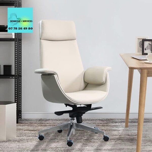 Chaise de Bureau Ergonomique