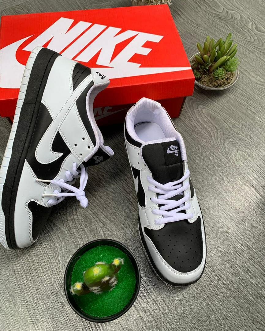 Nike SB