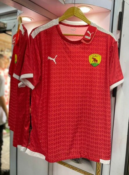 Maillot Syli de Guinée nouveau version pro