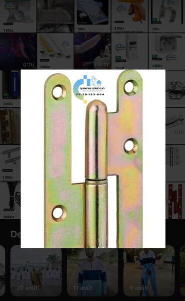 Paumelle de porte robuste HQ