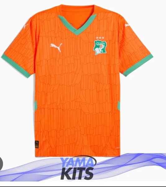 Maillot Côte d'Ivoire Puma
