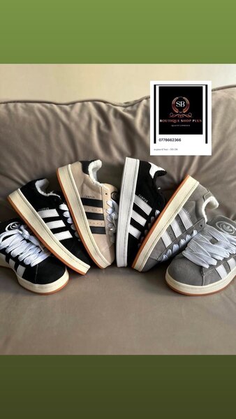 BASKET ADIDAS campus authentique avec sa boîte