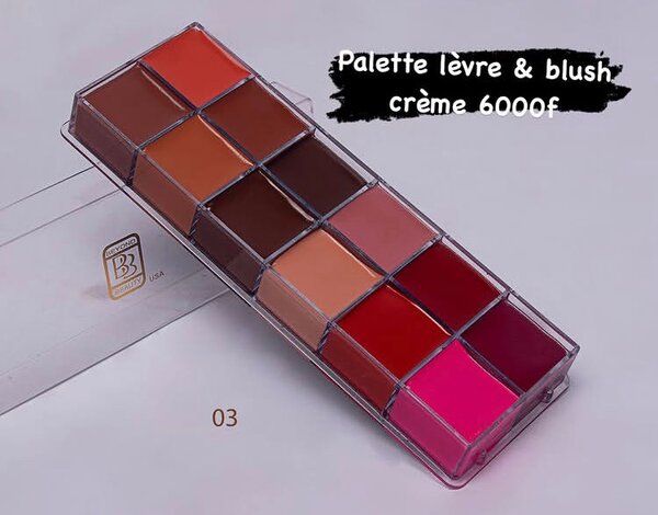 Palette lèvres et blush