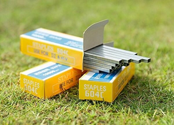 Agrafes Tapetool 10000 pièces