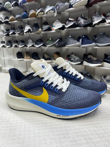 Nike Pegasus 39