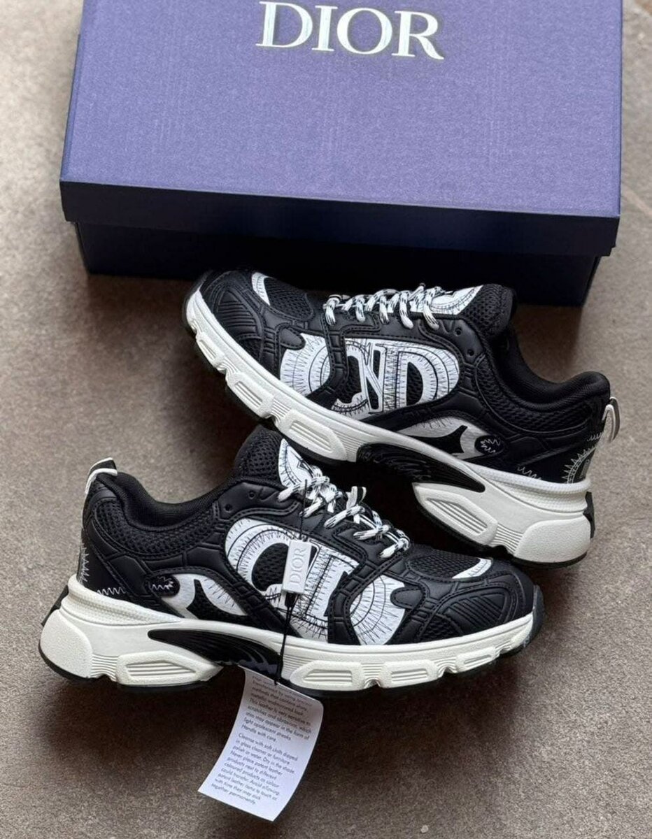 Dior sneakers
