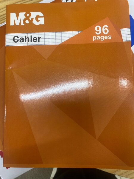 Cahier lignés 96 pages