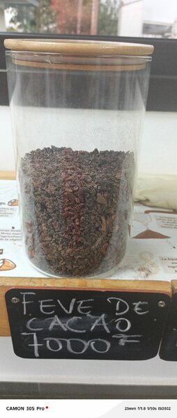 Fèves de cacao premium 500g