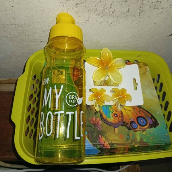 Bouteille et pince colorée