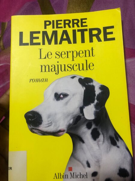 Roman de albin michel