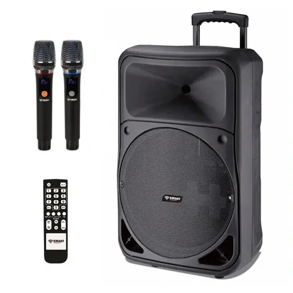 Système de sonorisation portable avec microphones