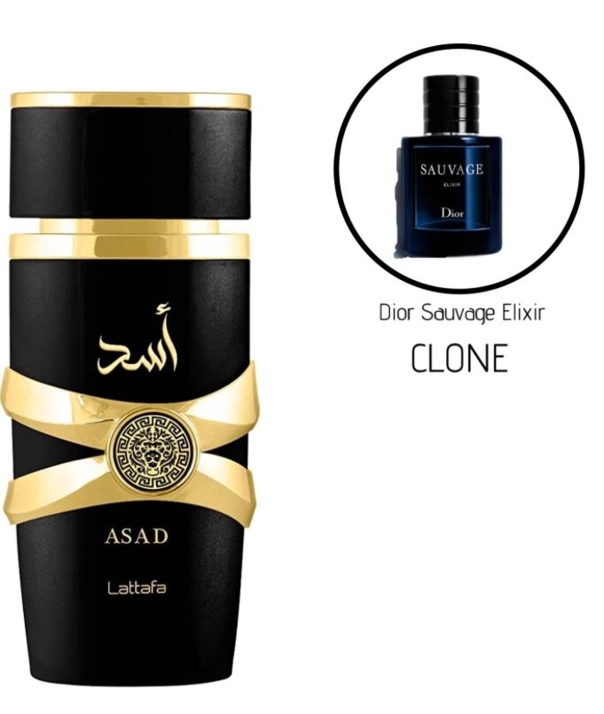 Asad by Lattafa Perfumes