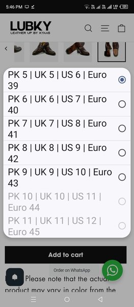 Black Brown Penny Moccasin